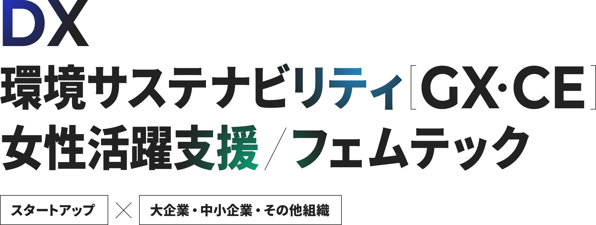 DX、環境サステナビリティ[GX・CE]、女性活躍支援 / フェムテック スタートアップ×大企業・中小企業・その他組織